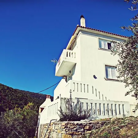 Enjoy The Silence-αlonnisos Tatil Evi *
